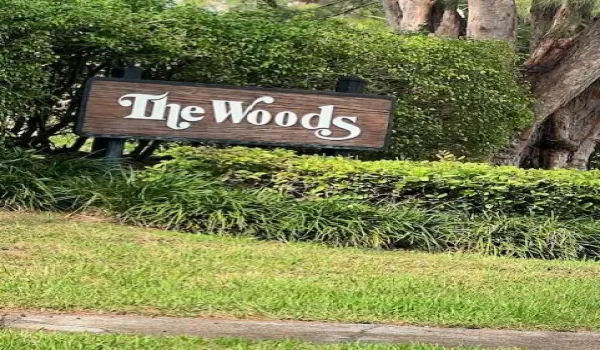 WOODS4