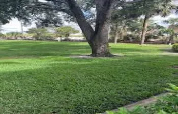 3017 30th Ct Preserve View