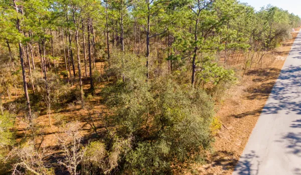 DJI_0927