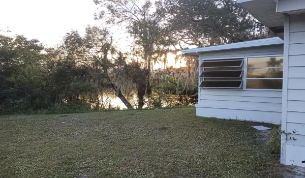 See The river