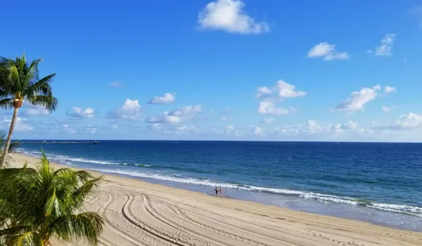 Ocean Front