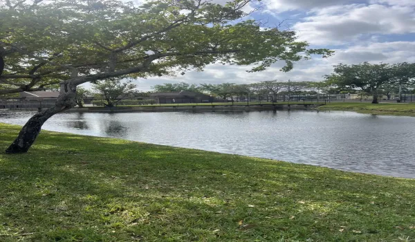 back lake 10758