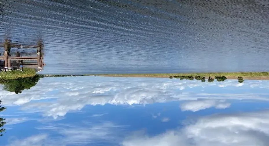 Water view