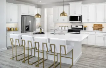 WEB Rainier Kitchen by RHP