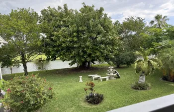 Serene View