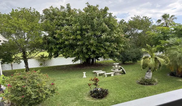Serene View