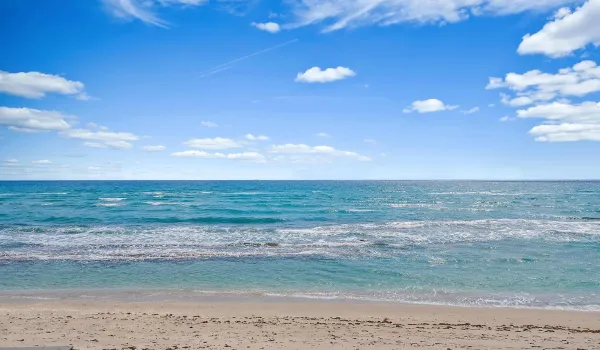 Ocean