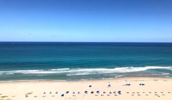 View From Unit