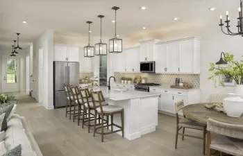 WEB Canopy Kitchen by RHP