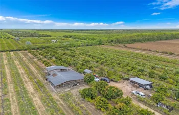 THE LOWER LEVER IS HIS PACKING AND STORAGE ...ABOVE A TREEFORT FOR SLEEPING THE HEN HOUSE TO THE RIGHT.. 10 ACRES2 FOLIOS 5 ACRES EACH JUNE PLUMS GUAVA AND LINGAN OVER 8000 TREES PER SELLER CORNER LOCATION LOW TAXES
