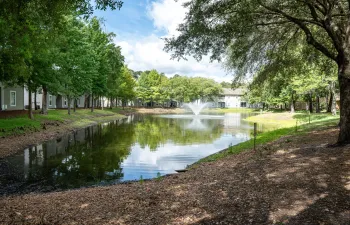 Amenity Waterview