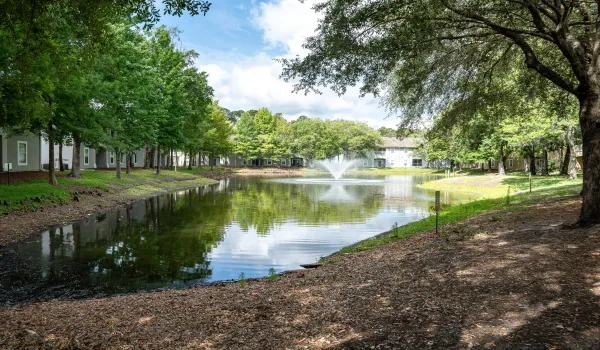 Amenity Waterview