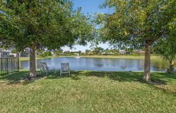 back yard