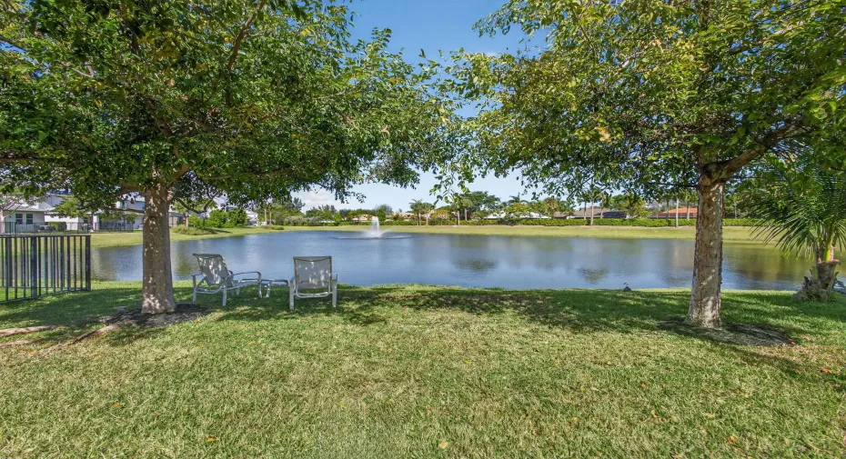 back yard