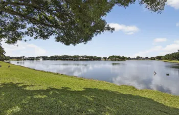 33-web-or-mls-BS1A4165