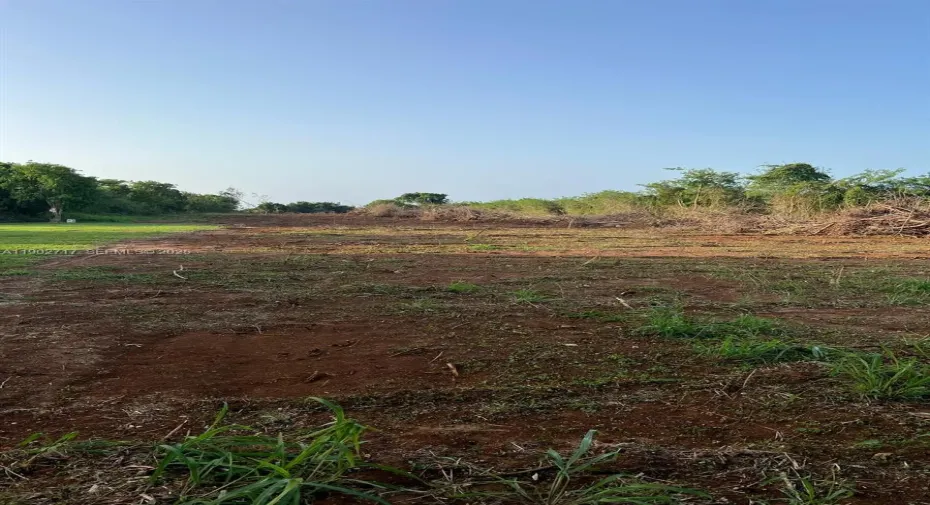 LAND VIEW