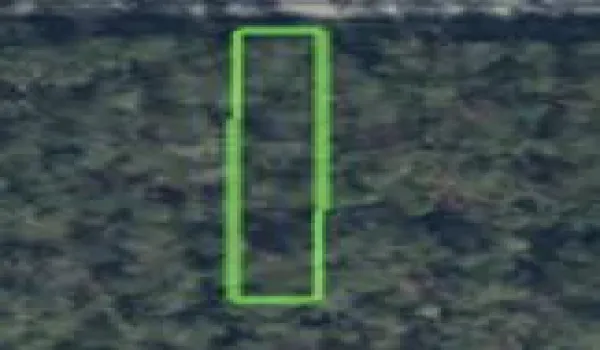 Screenshot 2026-03-21 at 3.36.57PM