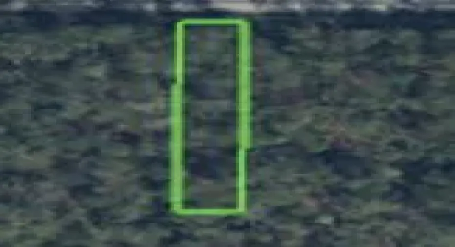 Screenshot 2026-03-21 at 3.36.57PM