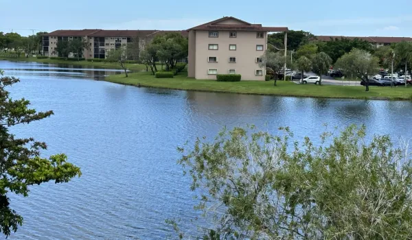 Lake view