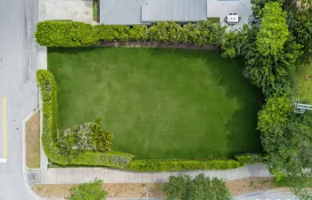 Virtual Aerial