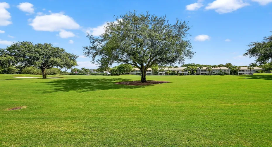 Golf Course View