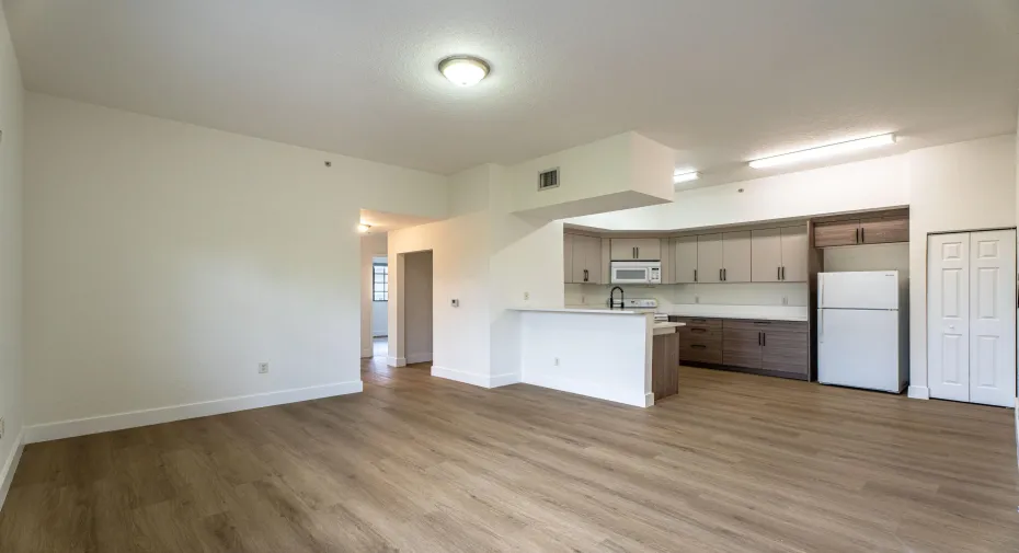 kitchen and living room view