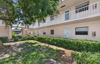 3-web-or-mls-5D1A2403