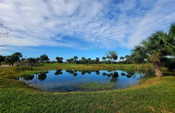freshwater pond