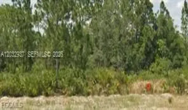 3011 W DIXON RD, AVON PARK FL 33825