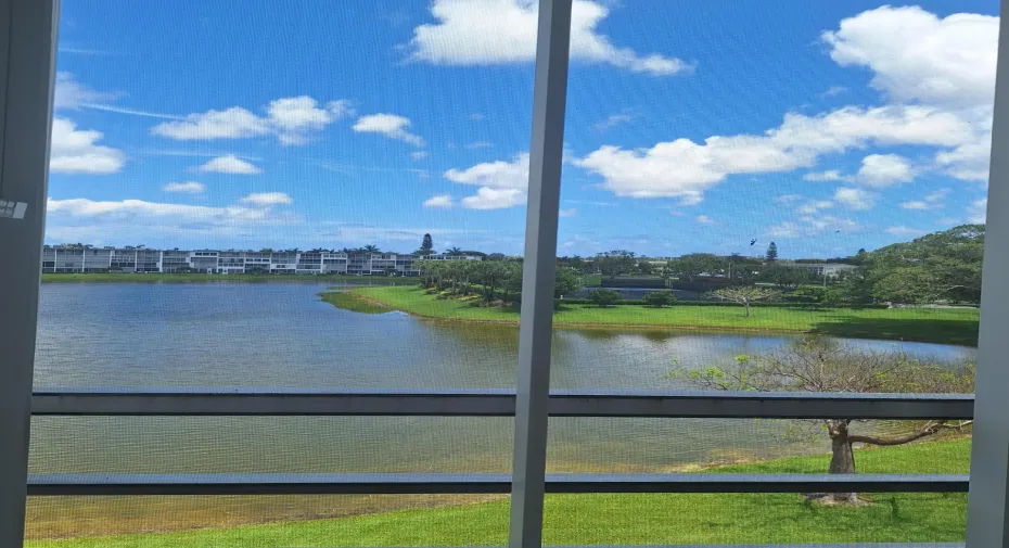 view from the lanai
