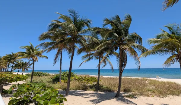 Ocean front