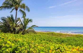 minutes to the beach