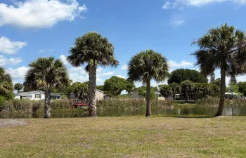 IMG_0808