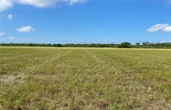 Cleared land