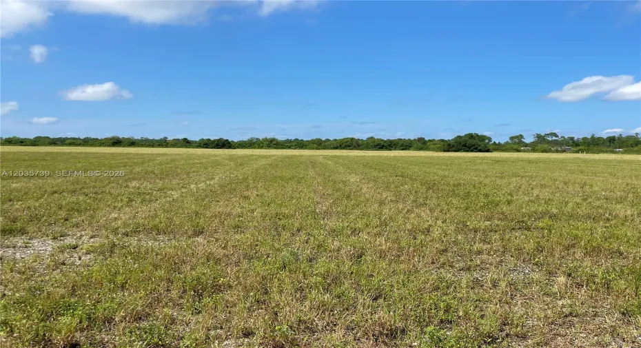 Cleared land