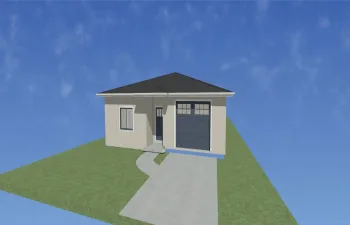 PIC1