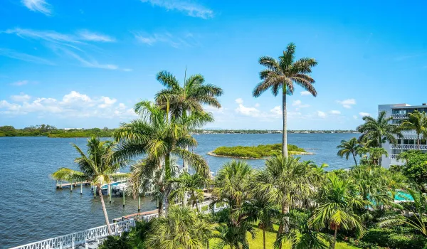 View from Balcony