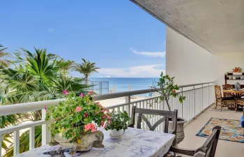Terrace Paradise
