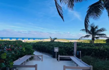 Beach View