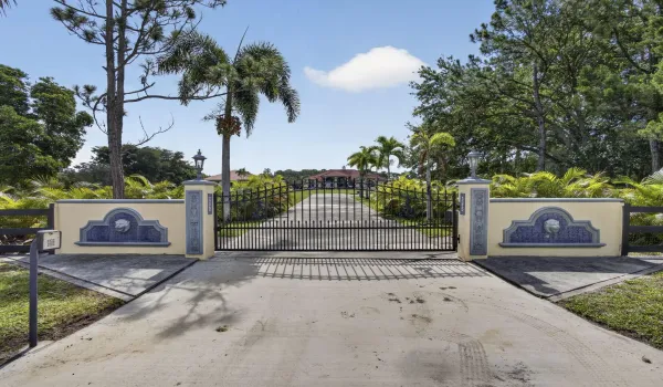 Front Auto Gate