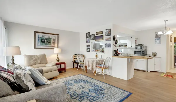 6-web-or-mls-5P1A3498