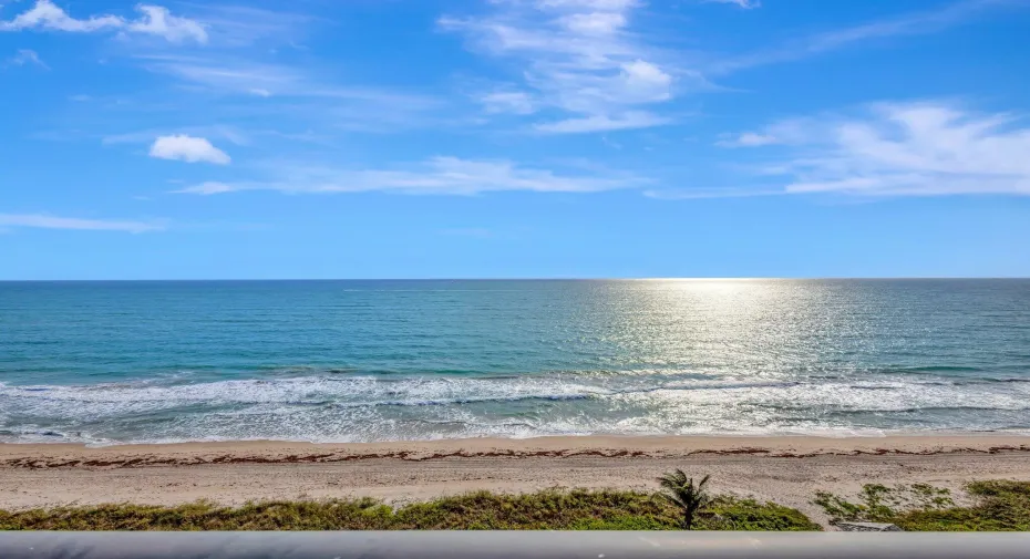 32-web-or-mls-5P1A5979