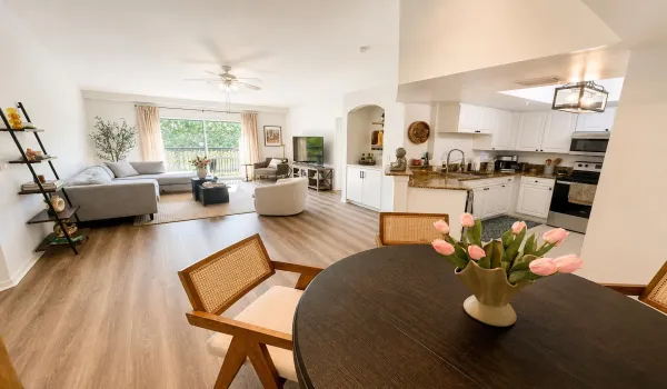 Living Room/ Kitchen/Dining Room Space
