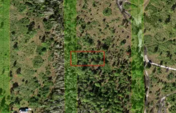 1 (4)