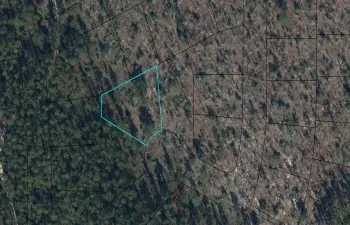 map (1)