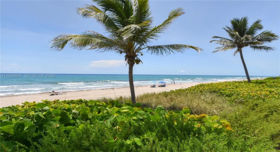 Ocean View