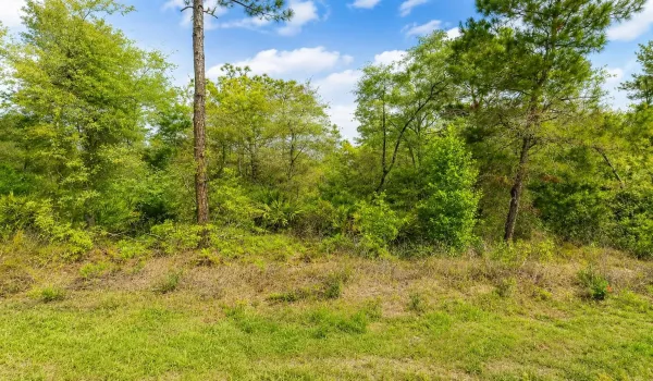 VACANT LAND