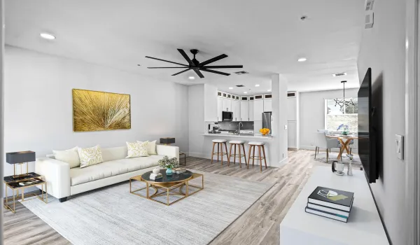 Living room Virtual staged
