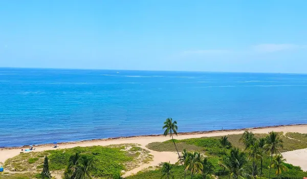 Ocean 2