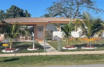 Beautiful Palm trees. Landscaping.